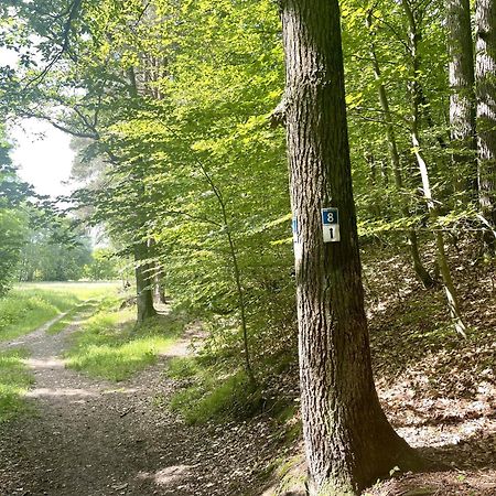 Landhotel Hubertus Unterelsbach Zewnętrze zdjęcie
