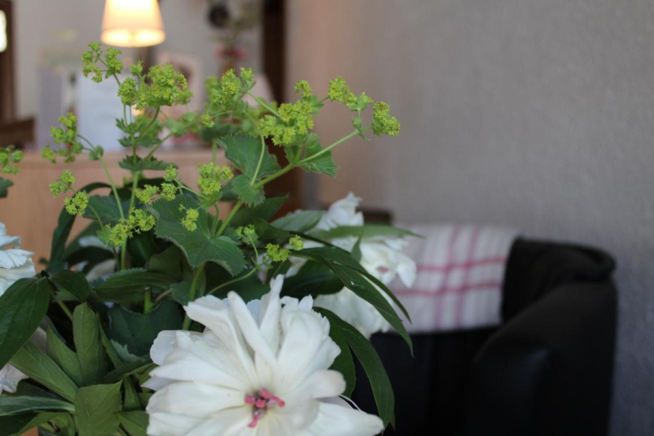 Landhotel Hubertus Unterelsbach Zewnętrze zdjęcie