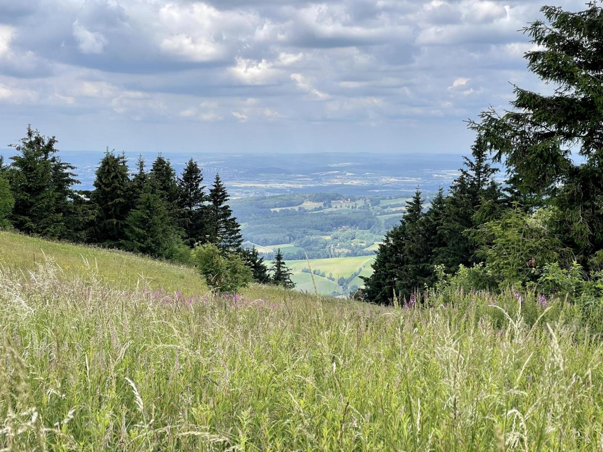 Landhotel Hubertus Unterelsbach Zewnętrze zdjęcie