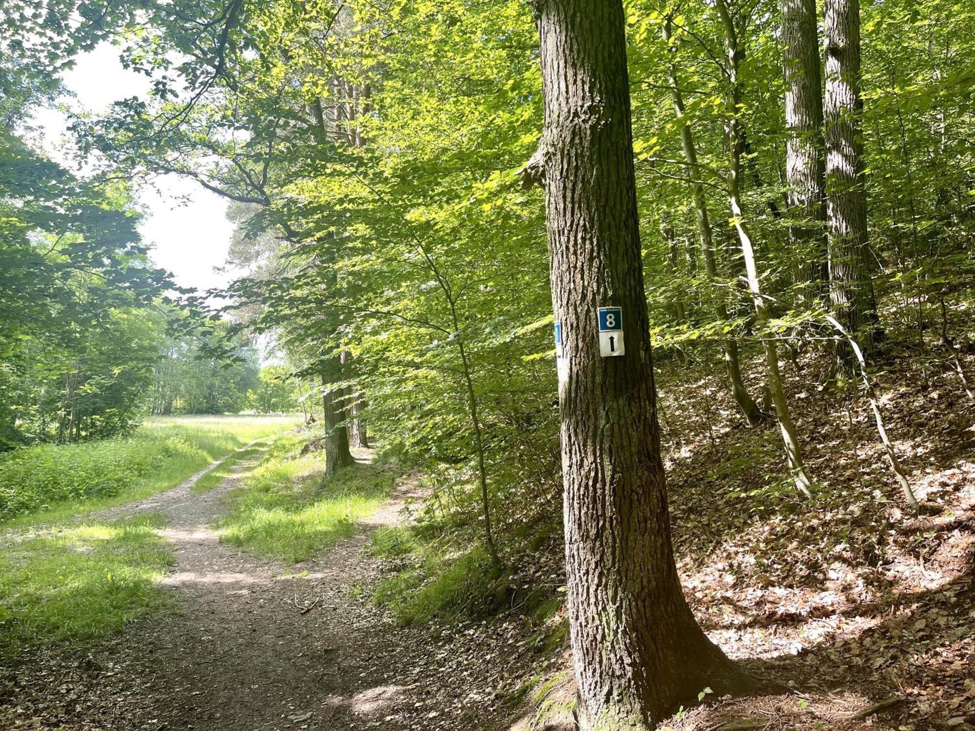 Landhotel Hubertus Unterelsbach Zewnętrze zdjęcie